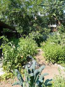 Raised ecological garden beds by garden muses-a Toronto gardening blog