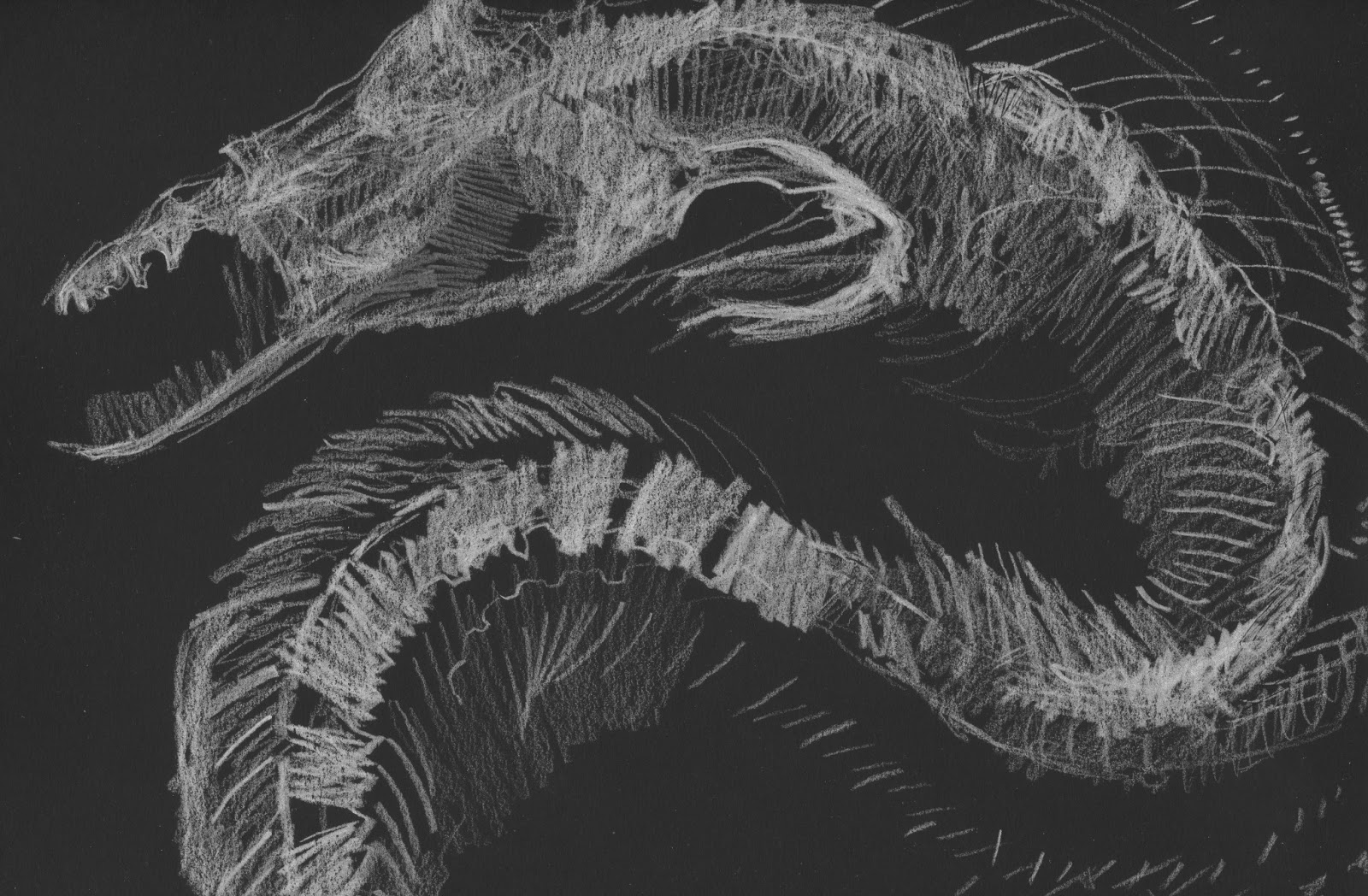 A Terminal Case of Whimsy XRay Vision