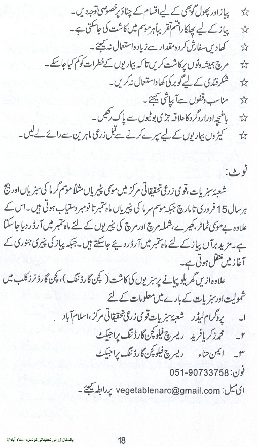 How to Grow Vegetables & Fruits, Kitchen Gardening Urdu Guide Noons
