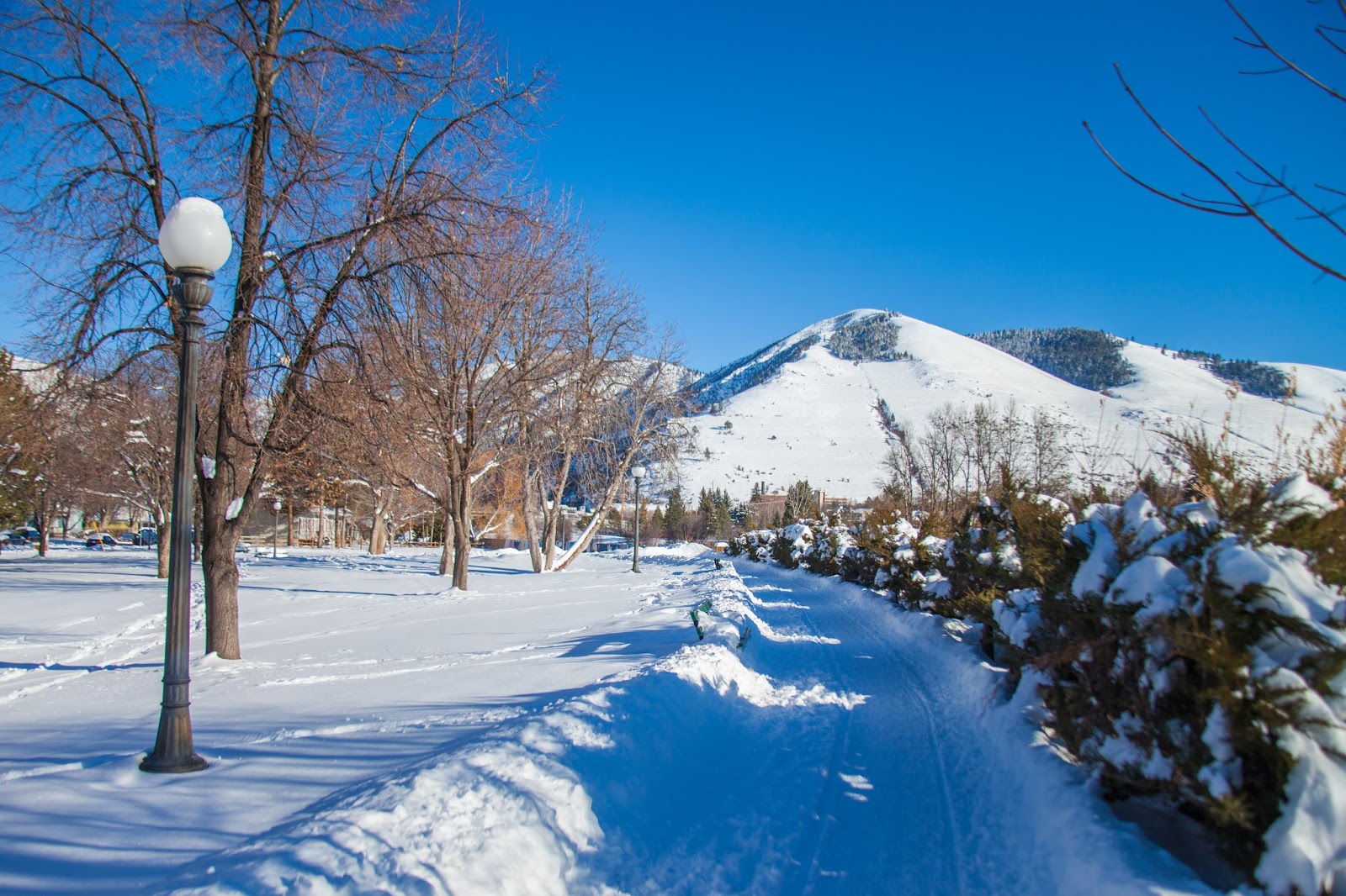3 Stunning Winter Views in Missoula, Montana