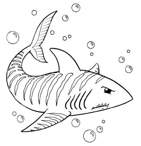 RECURSOS y ACTIVIDADES para Educación Infantil: Dibujos para colorear