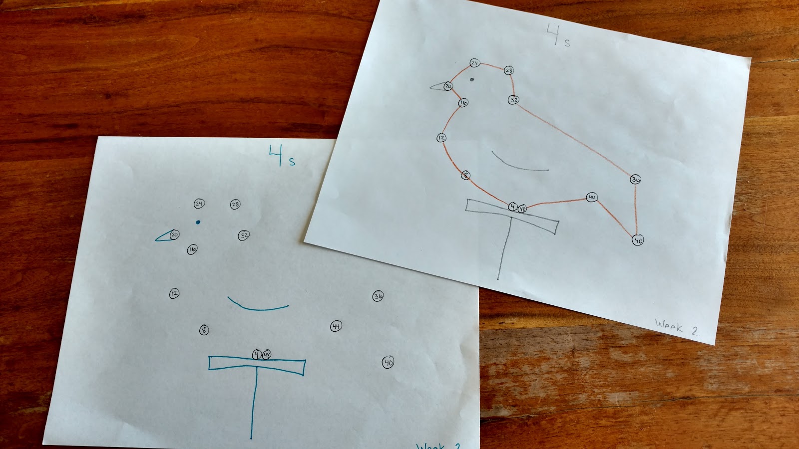 Turtle Island Homeschool: Cycle 2 Week 2