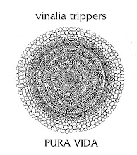 VINALIA TRIPPERS PROYECTO