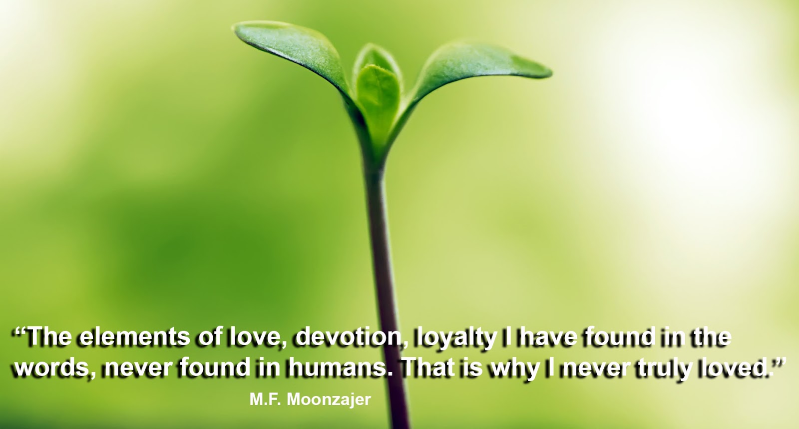 Love Quotes Devotion loyalty Best quotes