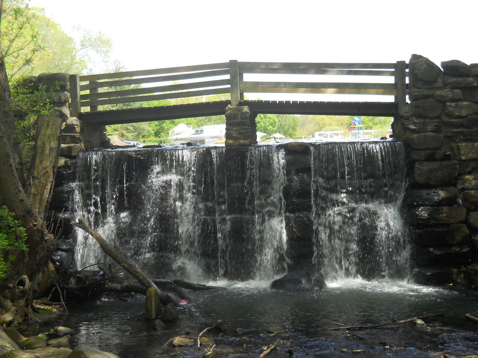 Beautiful Yonkers Tibbetts Brook Park and other news..