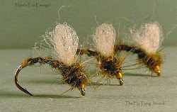 6 Mosche Da Pesca Buzzers Taglia 10 Per Trota – Sospensioni Ed Emerger – MD Fly Fishing UK