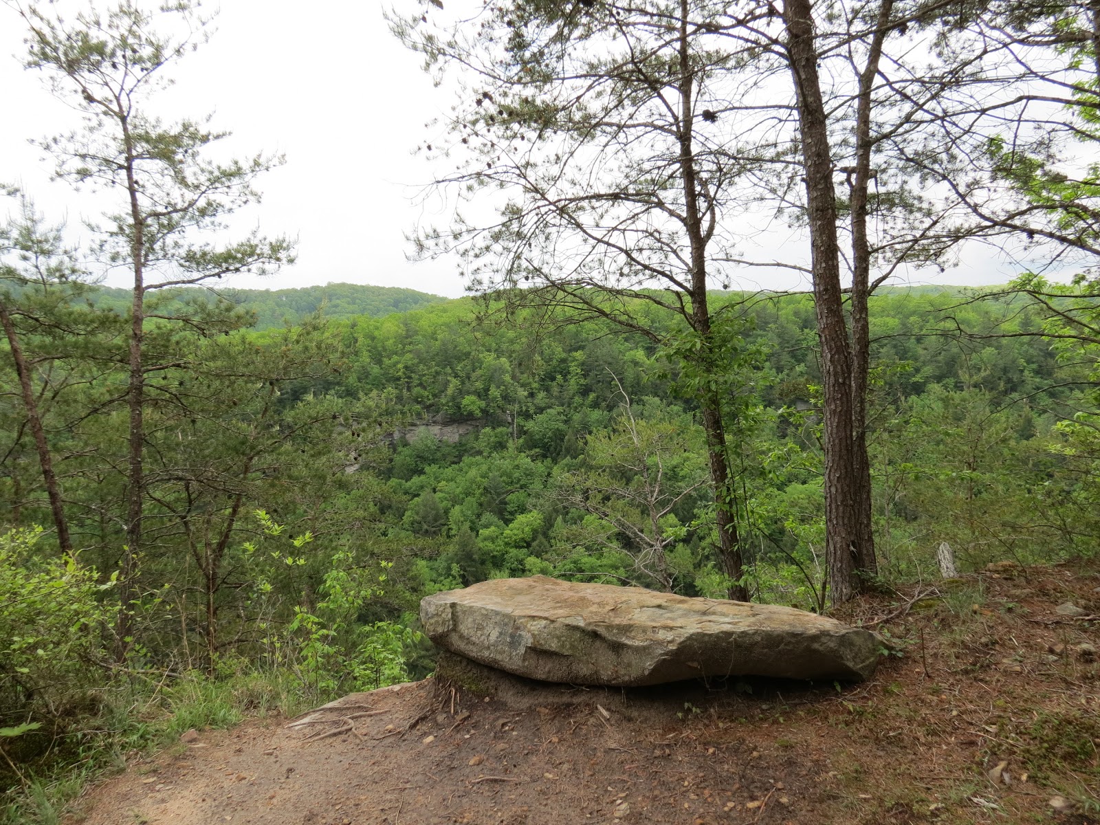 Where's Liz2013? Obed Wild and Scenic River National Park