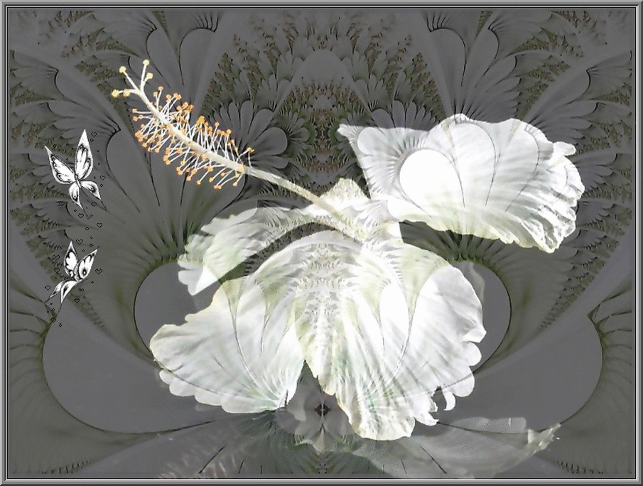 Lydia Anneli Bleth BELLA DONNA digital art & GIFs