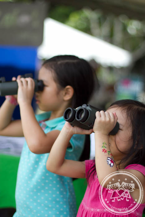 Girls using binoculars