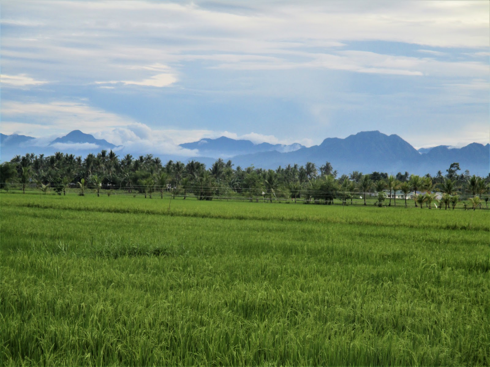 DULAG A SIGNIFICANT TOWN IN LEYTE AND PHILIPPINE HISTORY
