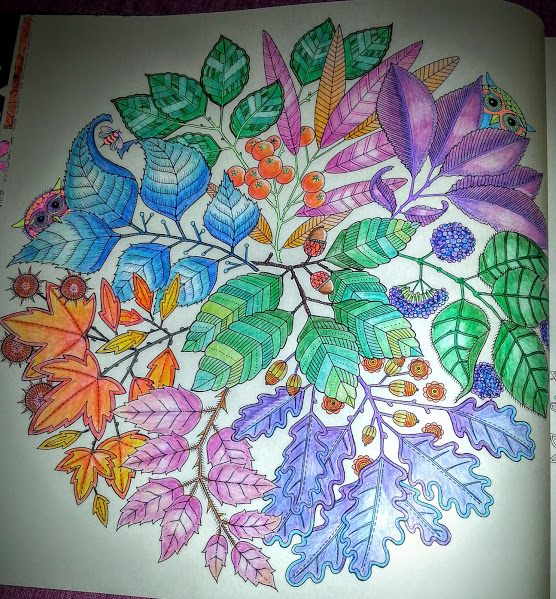 Secret Garden Coloring Book Finished Pages