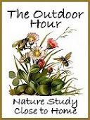 Our Nature Study