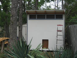 trim coop chicken backyard dallas parents texas building