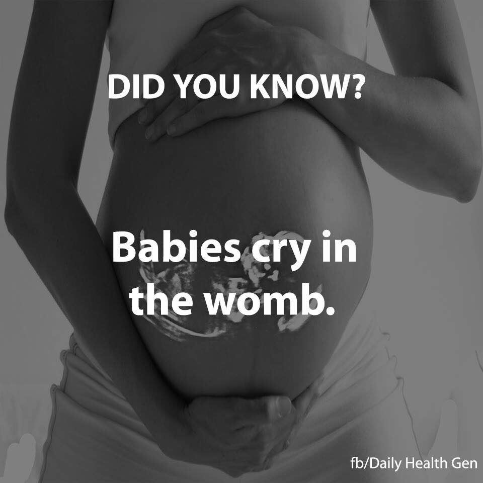 Pregnancy Facts You Should Know Part 1 Olomoinfo 