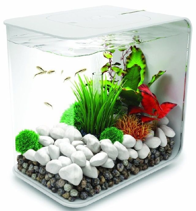 Model Aquarium Hias Yang Terkenal Sampai Ketika Ini Rahasia Trik