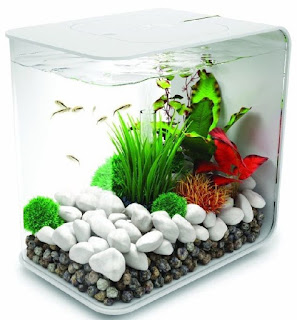 Model aquarium kecil