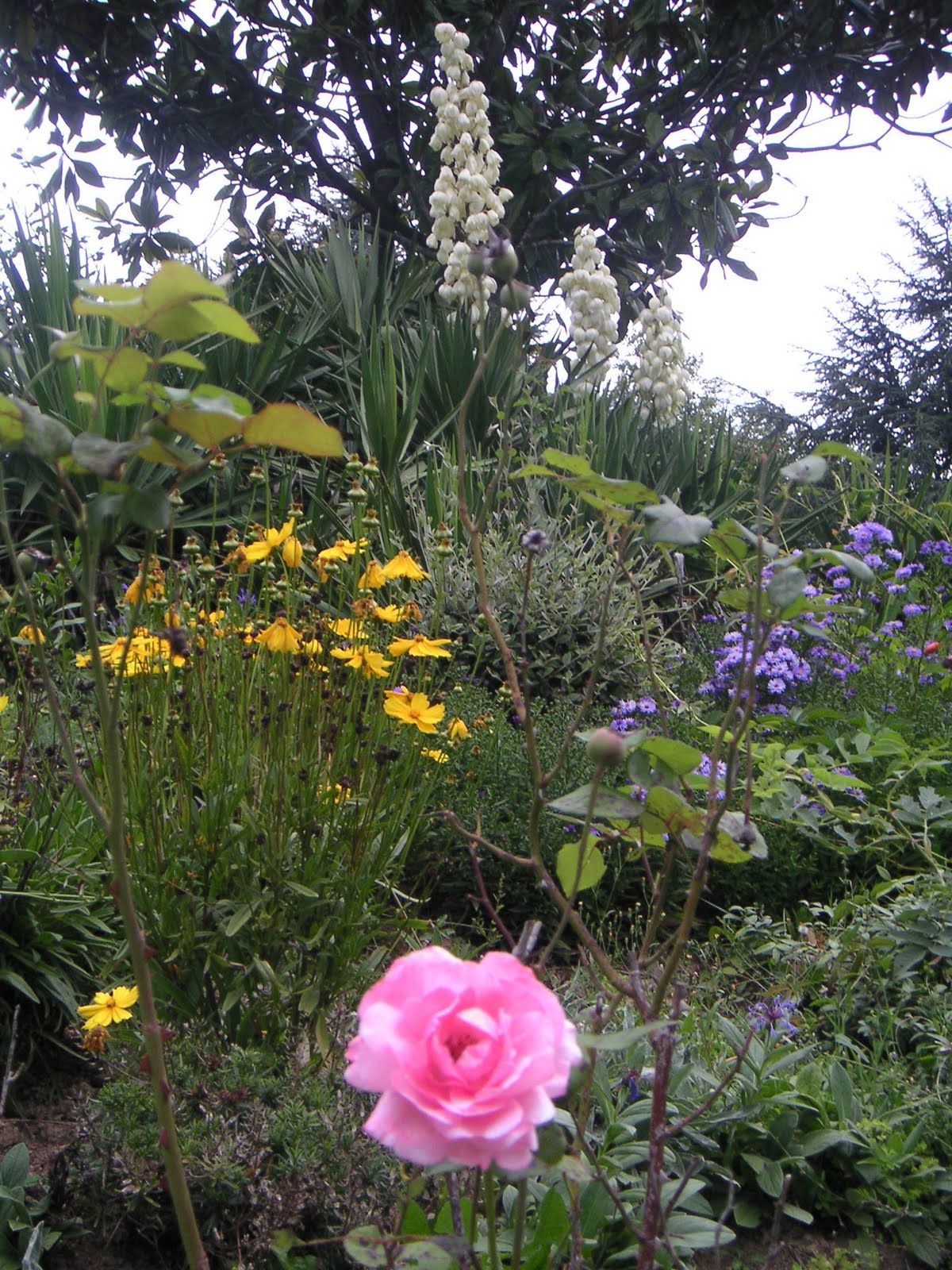 De Kleinste Sokken Fabriek