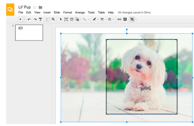 download all google drive photos download all google drive photos