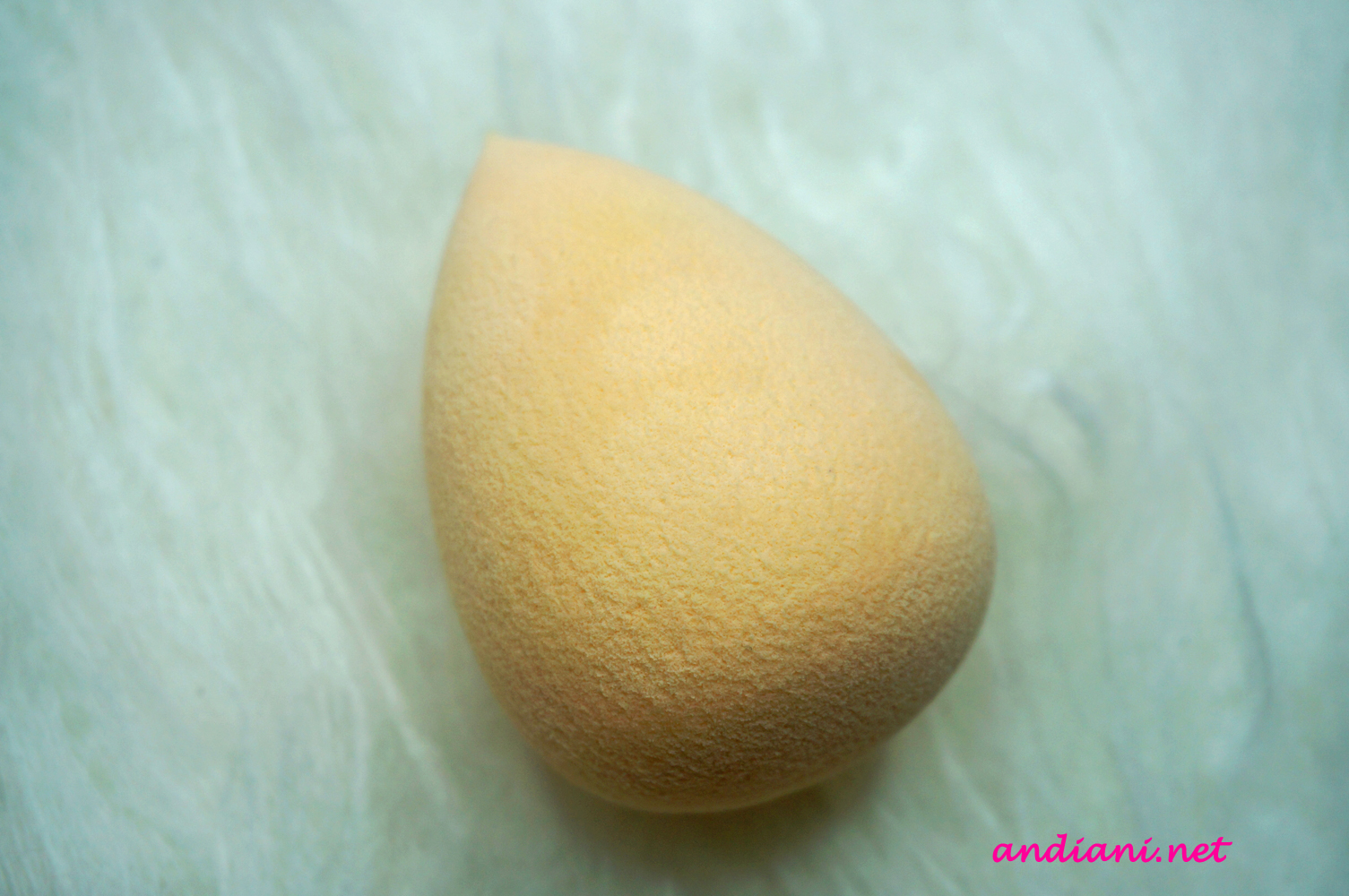 Andiani's Beauty Journal Indonesian Beauty Blogger Review Beauty