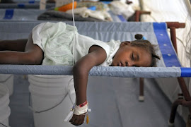 ONU é responsável por cólera no Haiti