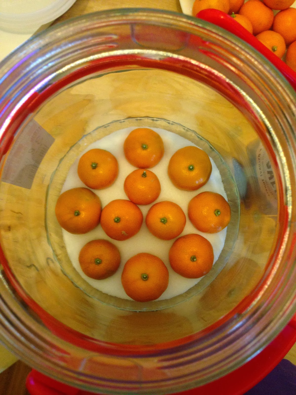 咸柑橘怎么做_咸柑橘的做法_豆果美食