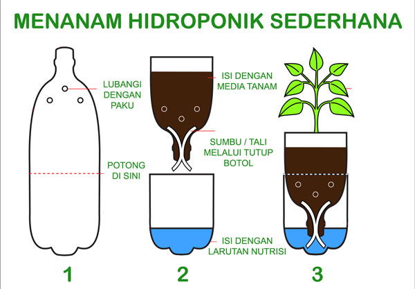 cara menanam hidroponik dengan botol bekas