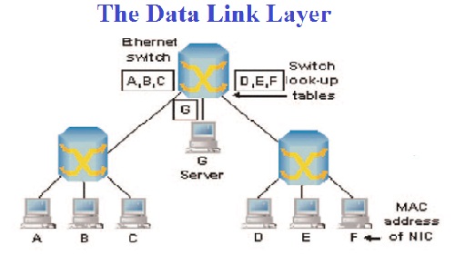 Data layer. Data link layer osi. data link layer osi mac address. link layer. data link layer functions.