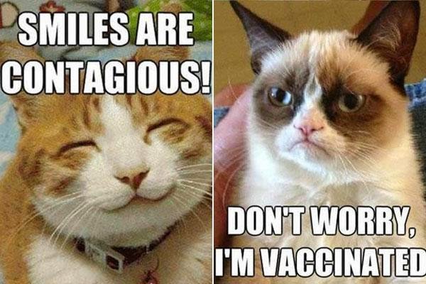 Grumpy Cat Meme Smiling