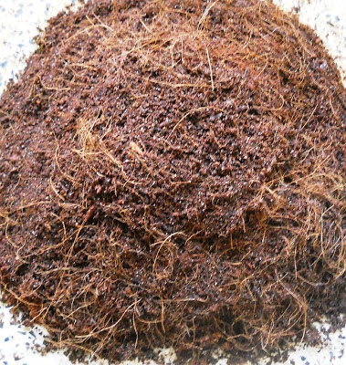 bearded-dragon-nesting-material-coconut-coir.jpg