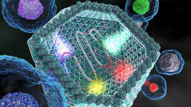 Giant Viruses May Play an Intriguing Role in Evolution of Life on Earth