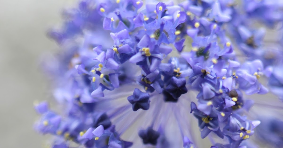 A Quote About Uniqueness...