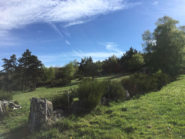 [CR] VTT BUL : Itinérance dans l'Aubrac du 15 au 17 mai 2017 25