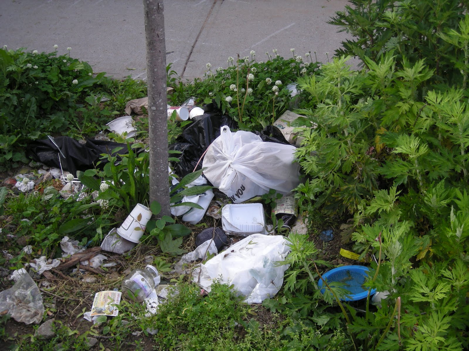 Queens Crap Plea for garbage help in Jamaica