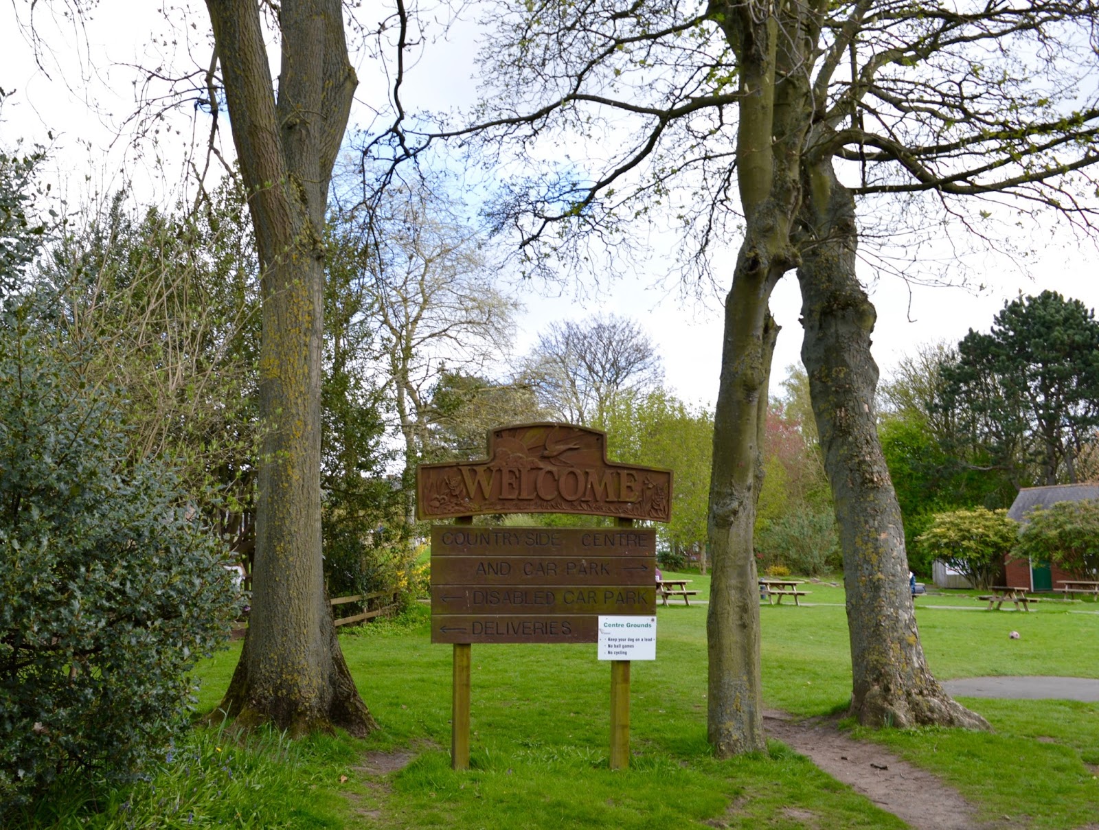 Rising Sun Country Park A Pushchair & Dogfriendly Walk in North