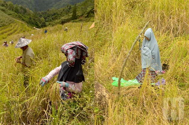 Menjamak Sholat Tak Hanya Karena Perjalanan atau Sakit, Benarkah Boleh Jamak Tanpa Uzur? 