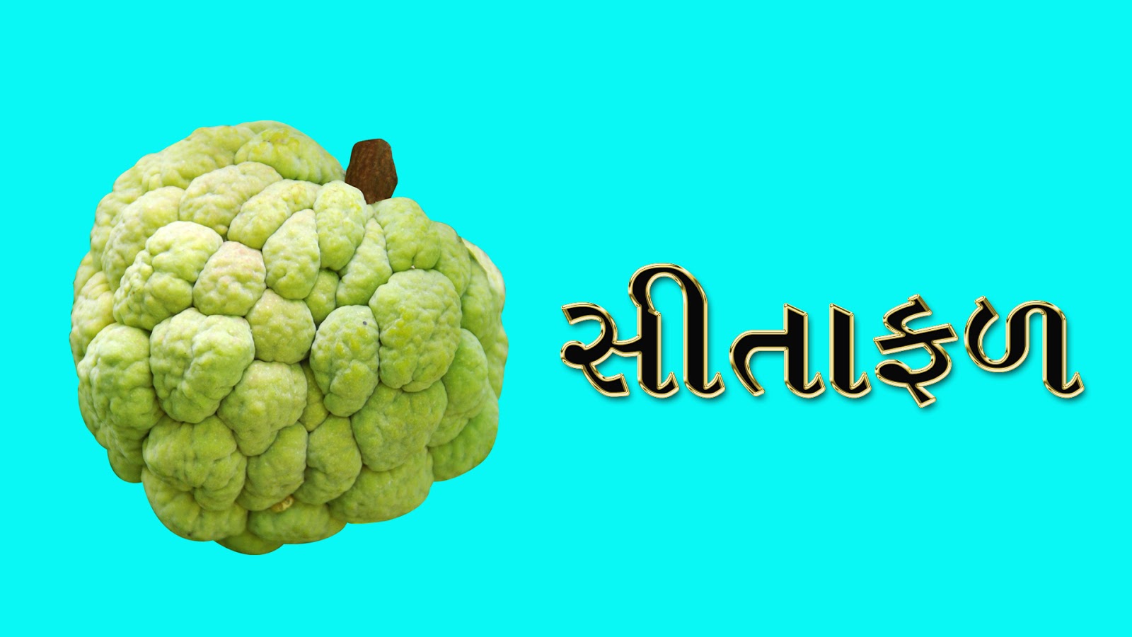 Fruit name in Gujarati