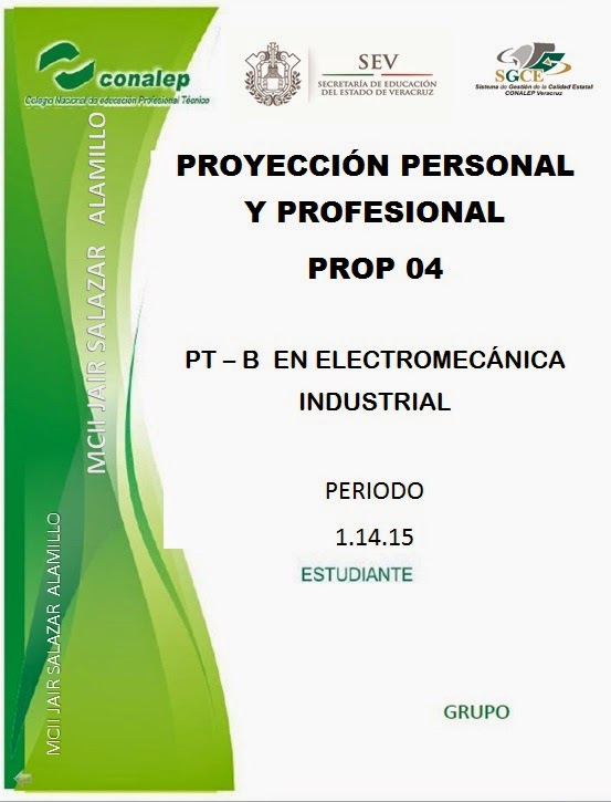 ProyecciÓn Personal Y Profesional