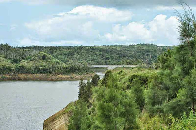 water, bridge crossing dam, greenery
