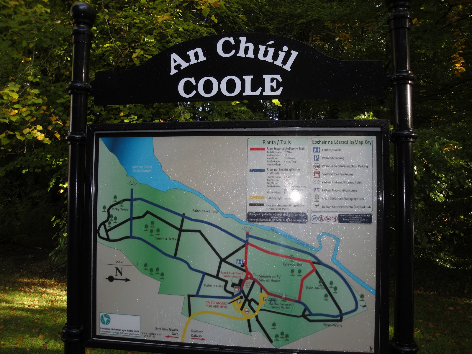 Galway Gal Kerry, Part I lime trees and turrets