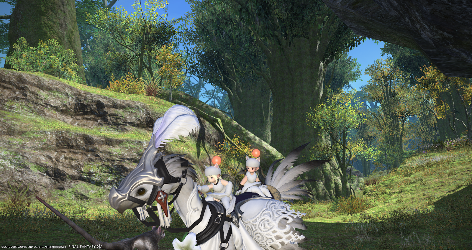 A Tank and a Healer. Fat chocobo head