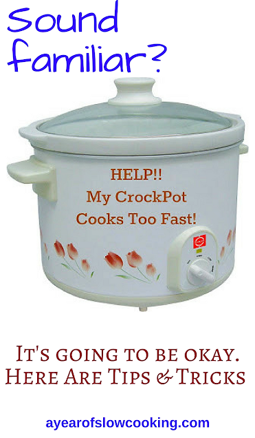 Rival Crock Pot 3100/2 Blue Floral Slow Cooker, Vintage