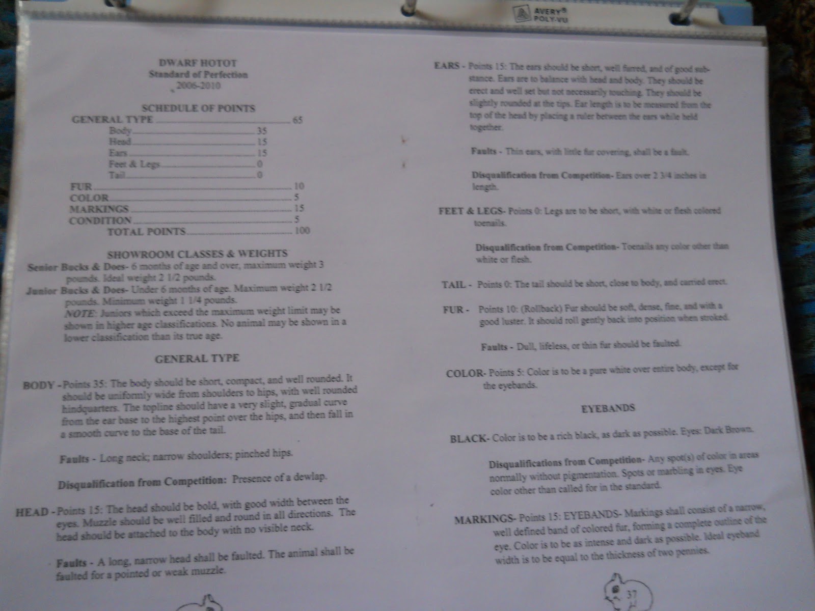 Little Rascal's Rabbitry My Rabbitry Binder