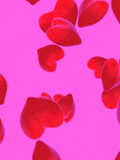 040305_coeur_6.gif
