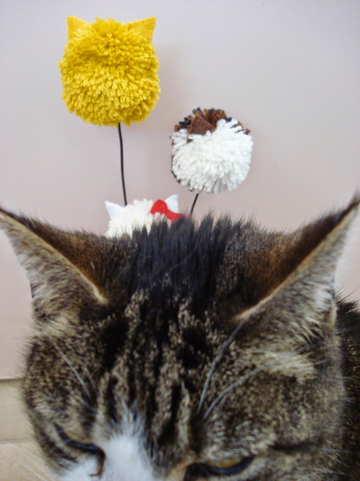 Everyweek Cat Craft Project Week 135 Pom Pom Cat Flower