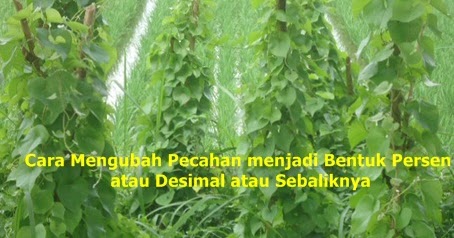 Mengubah Pecahan Menjadi Bentuk Persen Atau Desimal Atau Sebaliknya