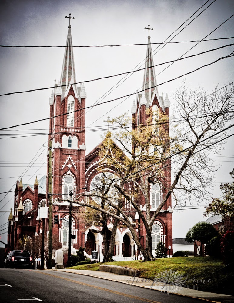 Picture This by Dorine Pederzani MACON Old Historical Churches