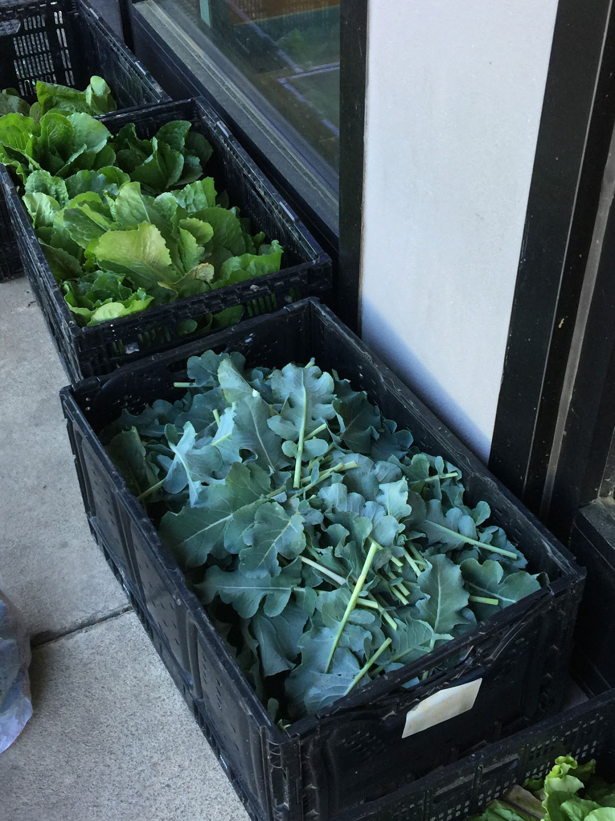 Natural Gardening A broccoli harvest