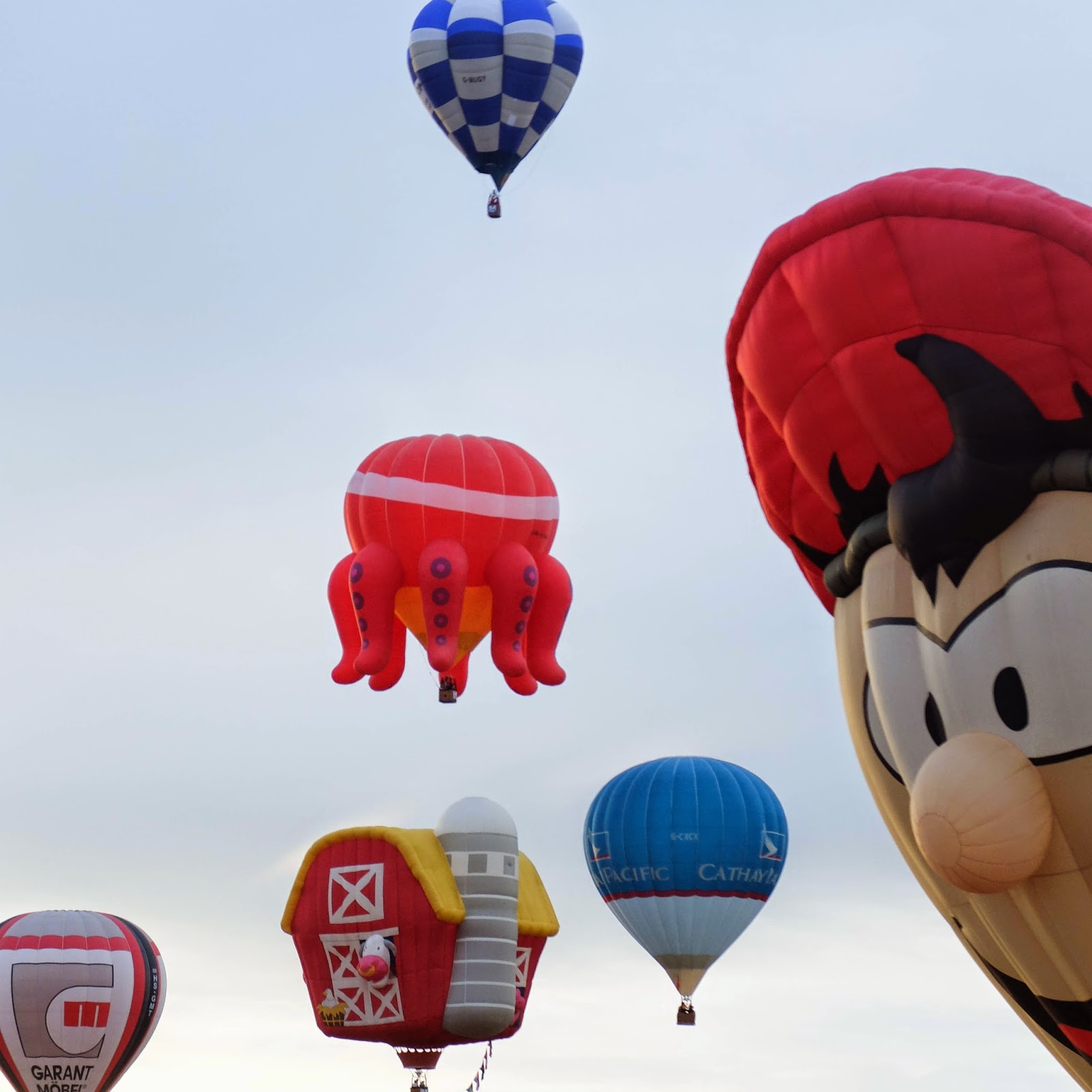 19th Hot Air Balloon Fiesta