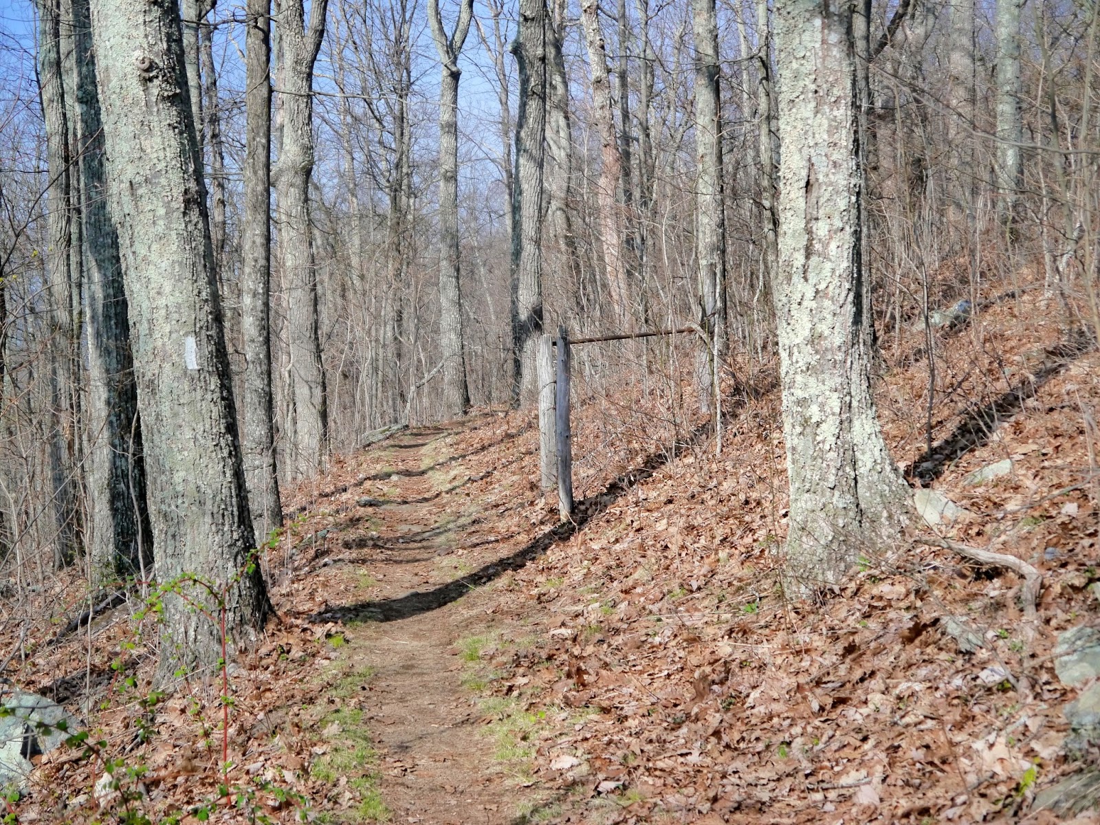 American Travel Journal Rockfish Gap to McCormick Gap Appalachian Trail Shenandoah National