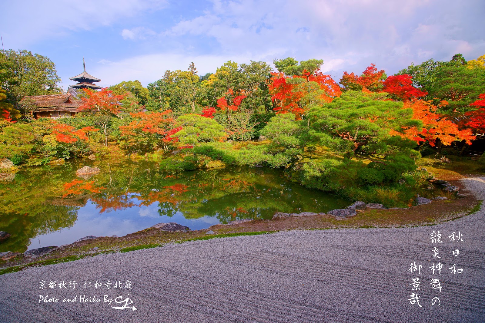 我之所攝 心之所見 滌癒人心 意味深遠 請跟隨我進入這攝影與詩歌交織成的視界 並帶回滿滿的感動 京都秋行錦秋の仁和寺ninnaji Buddhist Temple Maple In Early Autumn On November Kyoto Japan